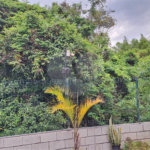 Apartamento à venda com 2 quartos em Pinheirinho, Vinhedo, SP