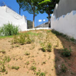 Sobrado à venda com 1 suíte em Tucuruvi, São Paulo, SP