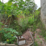 Terreno à venda em Chora Menino, São Paulo, SP