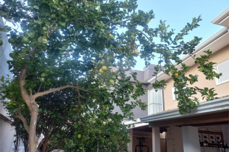 Casa à venda com 3 quartos, sendo 1 suíte, no condomínio São Domingos, Valinhos - SP