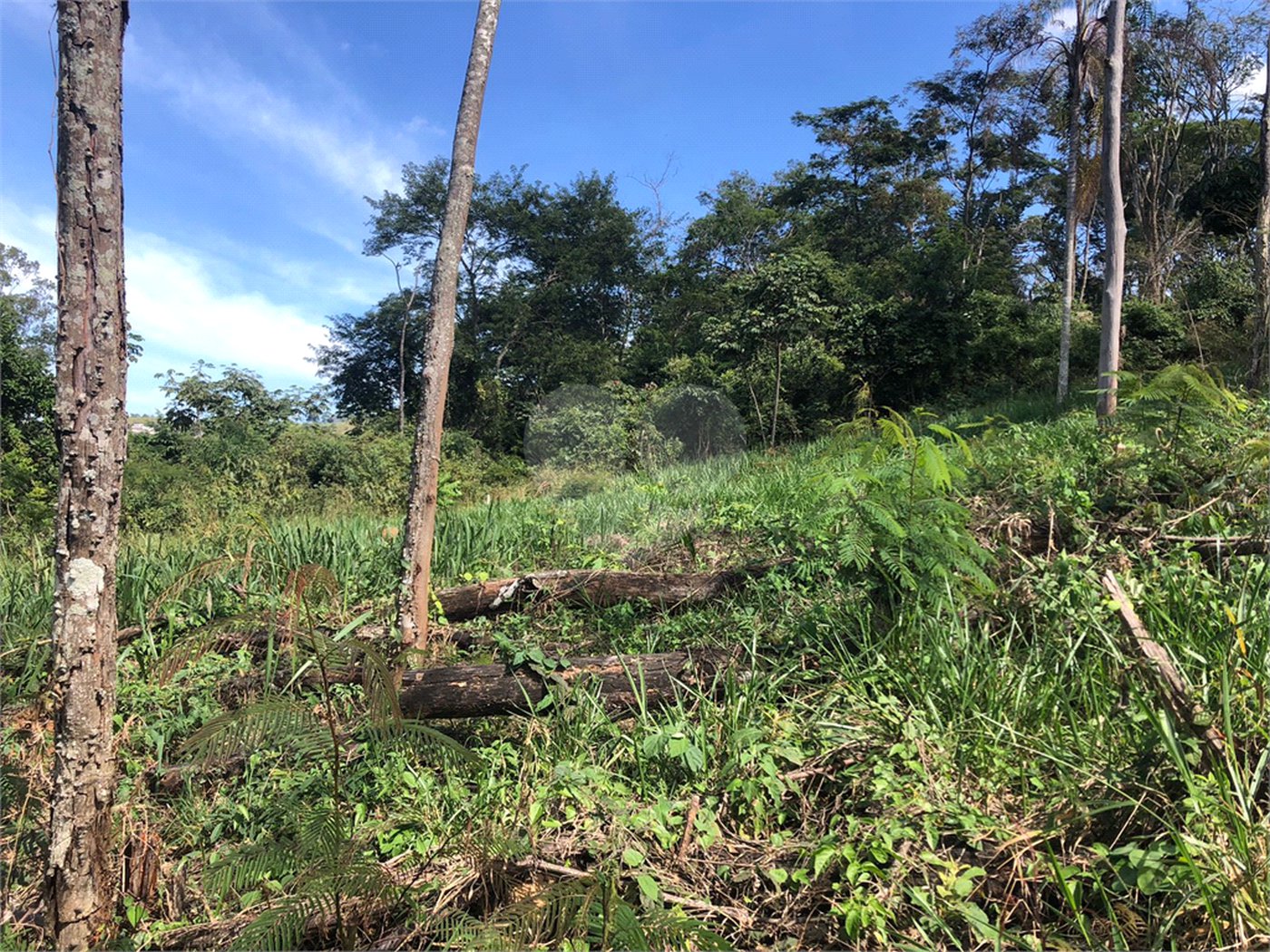 Terreno à venda no Centro, Bom Jesus dos Perdões, SP