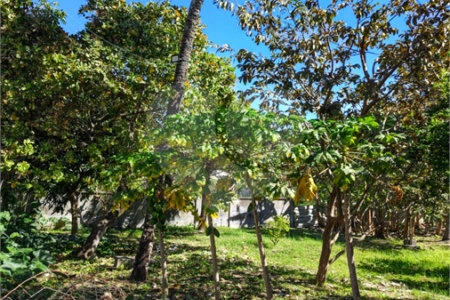 Área de Terra à venda com 1 quarto em Santa Cruz, Rio de Janeiro, RJ