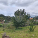 Loteamento á venda no condomínio Jardim das paineiras em Itatiba-Sp