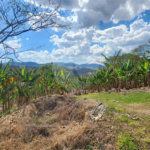 Sítio de 31 mil m² à VENDA em Àguas da Prata/SP