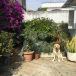 Sobrado à venda na Mooca