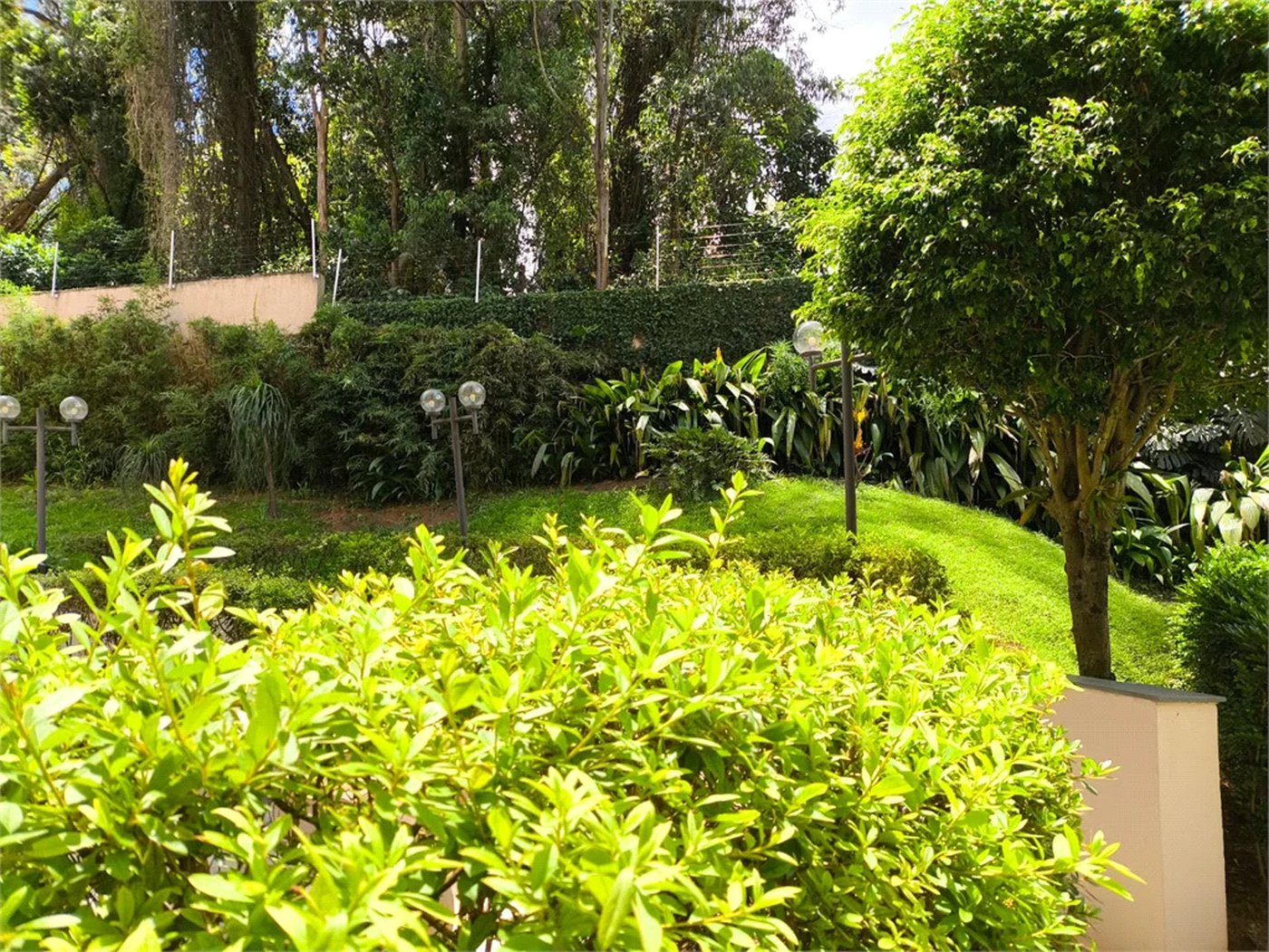 Apartamento à venda com 3 quartos em Butantã, São Paulo - SP