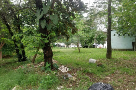 CONDOMÍNIO VALE DAS PALMEIRAS - CASA 3 QTOS + SUITE + PISCINA + GARAGEM 4 CARROS + ENERGIA SOLAR
