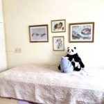 Apartamento Residencial PERDIZES