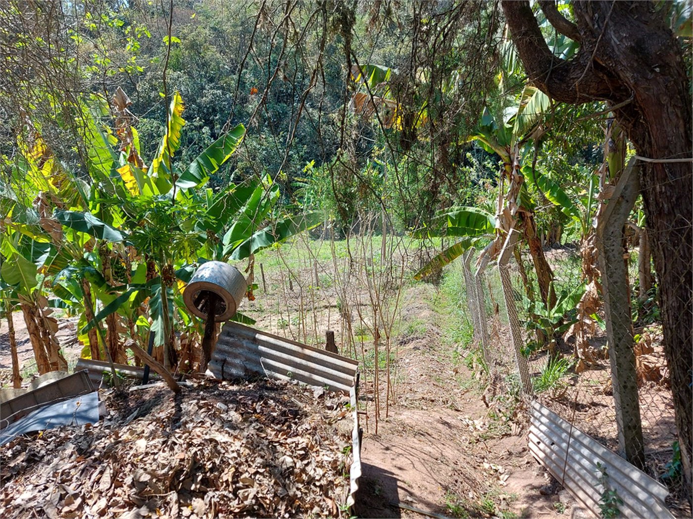Chácara à venda com 4 quartos em Área Rural de Louveira, Louveira, SP