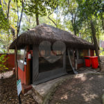 Apartamento à venda com 3 quartos, sendo 1 suíte,  em Vila Mascote, São Paulo, SP