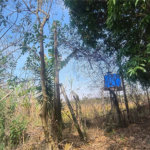Chácara dos Sonhos à Venda – São Carlos/SP – Recreio Campestre