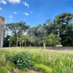 Lote à venda no Residencial Samambaia