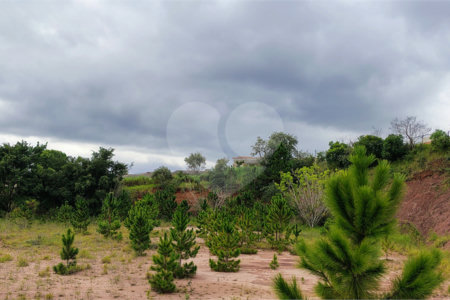 Terreno industrial à venda em Bom Jesus dos Perdões – 20.000m² na Rodovia Dom Pedro I