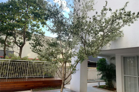 APARTAMENTO PARAÇAÇÃO COM 3 DORMITÓRIOS E 2 VAGAS DE GARGEM NA VILA ANASTÁCIO
