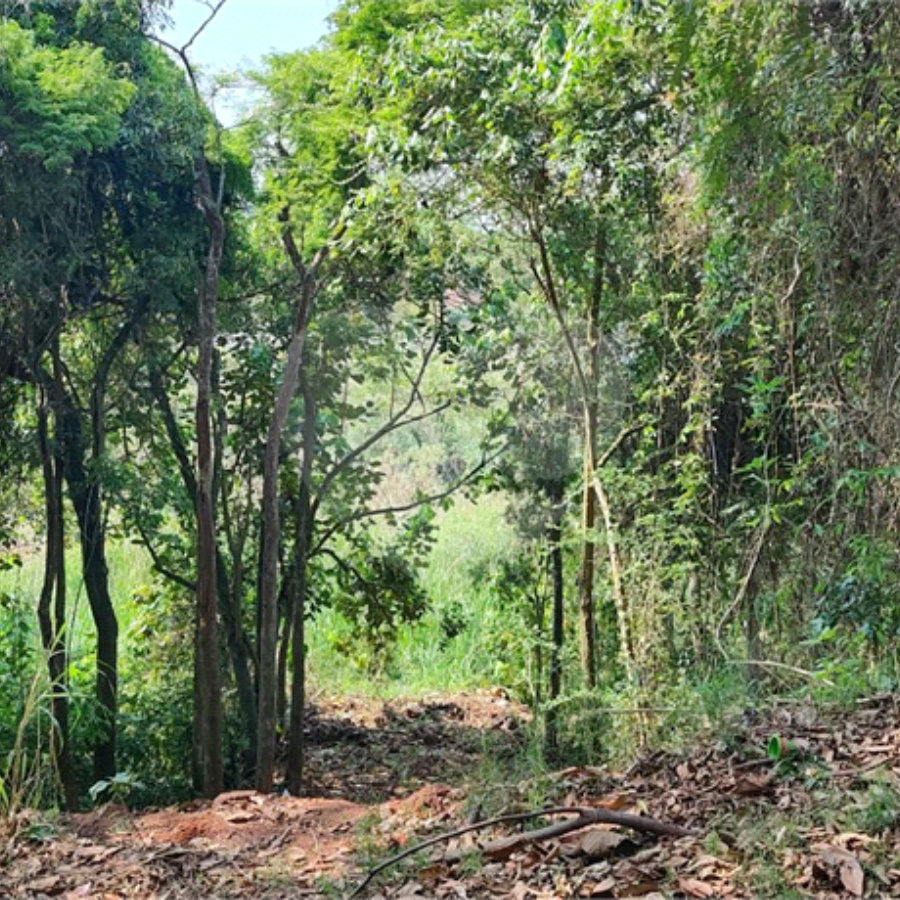 TERRENO DE 500 M² EM ATIBAIA PRONTO PARA CONSTRUIR, AVALIA PERMUTA COM CARRO