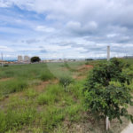 Terreno no Condomínio Monte das Araucárias
