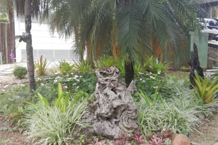 Casa à venda ou para alugar com 4 suítes em Chácaras São Carlos, Cotia, SP