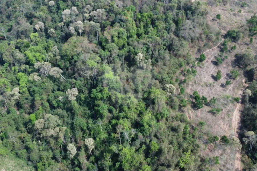 FAZENDA FORTALEZA, Caldas - MG