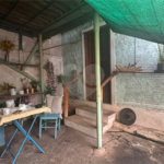 Casa 3 quartos Santa Terezinha - Piracicaba SP