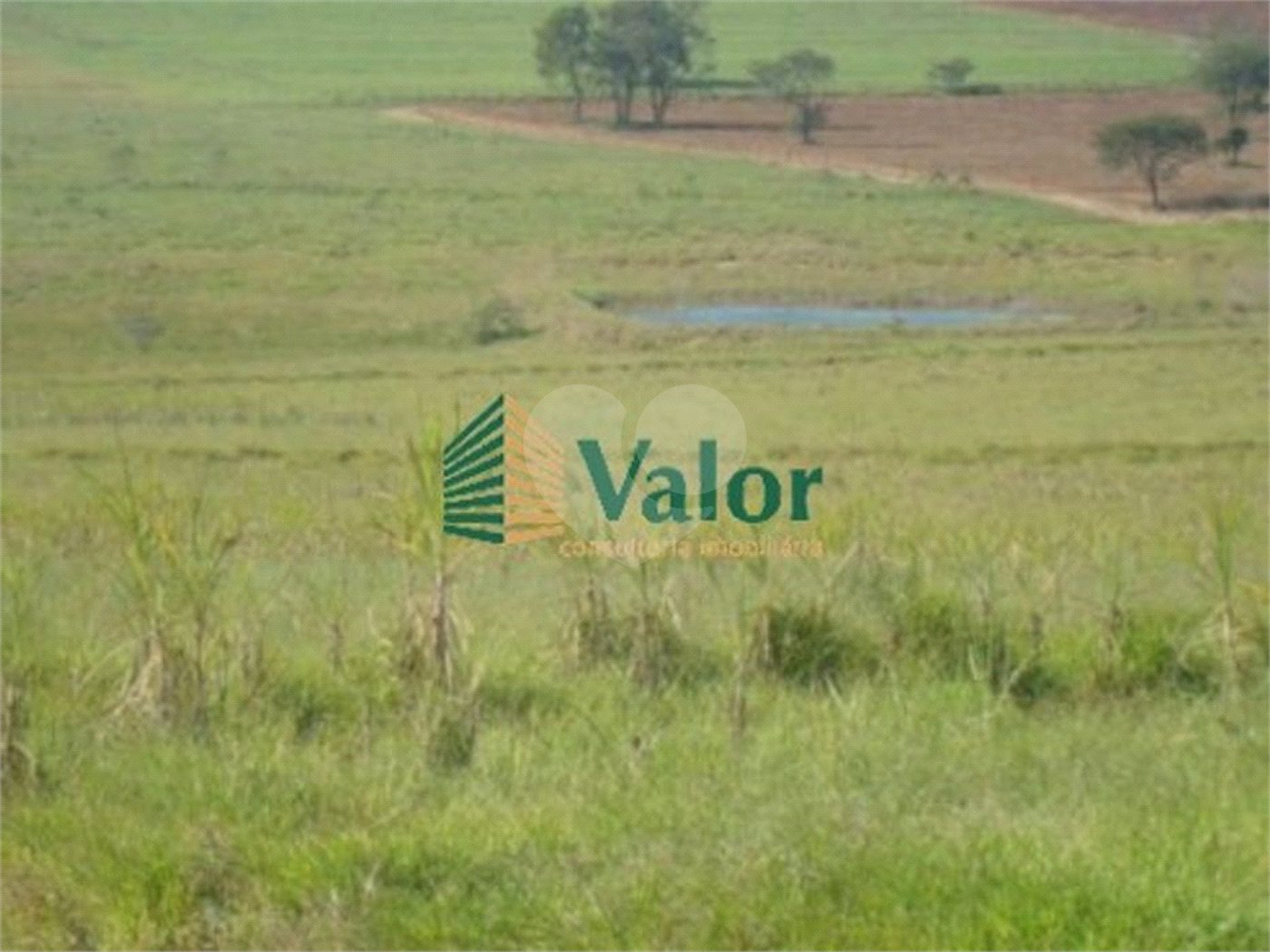 Sitio Rural São Carlos
