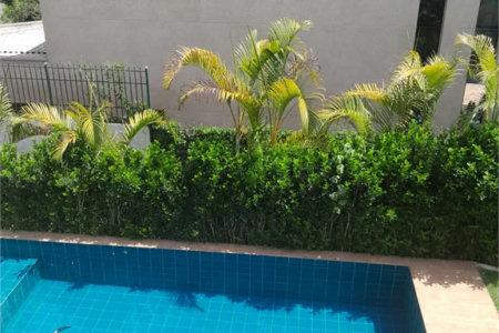 Casa à venda com 3 suítes em Moinho Velho, Cotia, SP