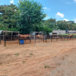 Terreno à venda em Parque das Bandeiras 2, Indaiatuba, SP