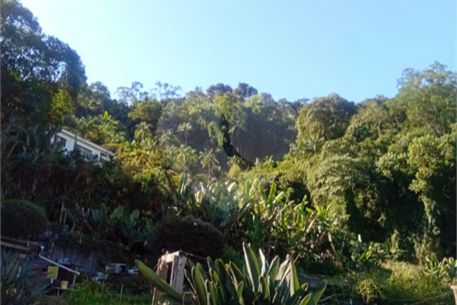 Terreno à venda em Horto, São Paulo, SP