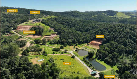 Fazenda Elisa - Fase 3