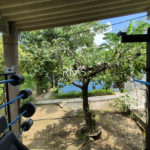 Chácara à venda com 3 quartos, sendo 1 suíte,  em Área Rural de Monte Mor, Monte Mor, SP