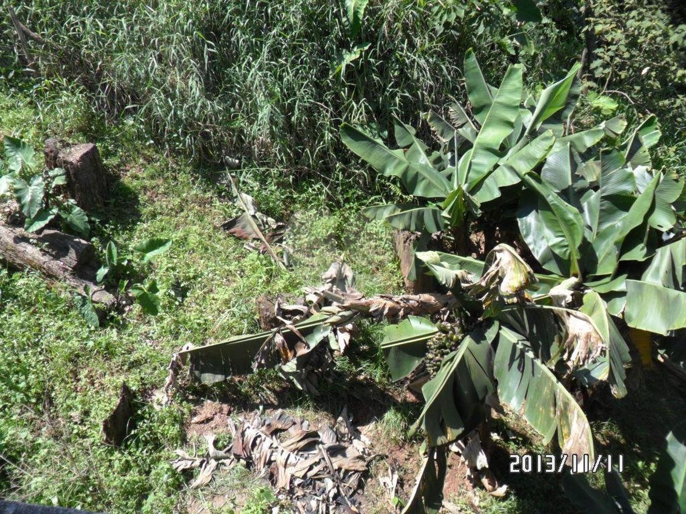 Terreno à venda em Horto Florestal, São Paulo, SP