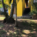 Casa Térrea à venda com 4 quartos, sendo 2 suítes, em Roseira, Mairiporã, SP