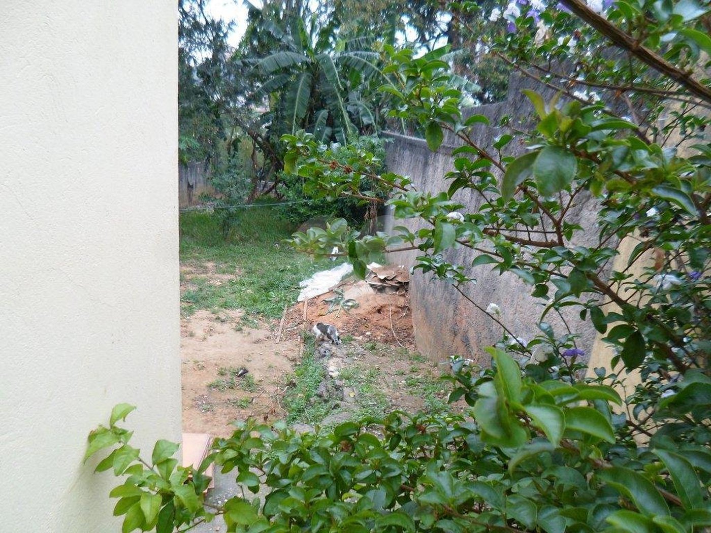 Casa à venda com 3 quartos em Vila Irmãos Arnoni, São Paulo, SP