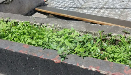Salão à venda ou para alugar em Vila Nova Conceição, São Paulo, SP