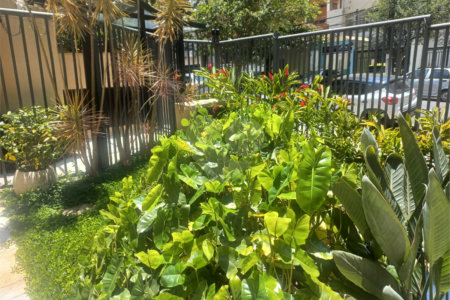 Apartamento à venda com 3 suítes em Vila Pompéia, São Paulo, SP