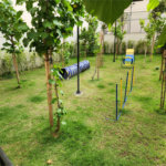 Apartamento à venda com 2 suítes em Vila Andrade, São Paulo, SP