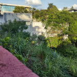 Terreno à venda em Jardim São Bento, São Paulo, SP