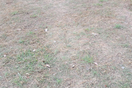 Terreno à venda em Jardim Ypê, Paulínia, SP