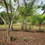 Chácara à venda com 2 quartos em Jardim Califórnia, Araraquara, SP