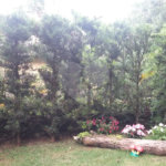 Sobrado à venda com 5 quartos, sendo 2 suítes,  em Serra da Cantareira, Mairiporã, SP