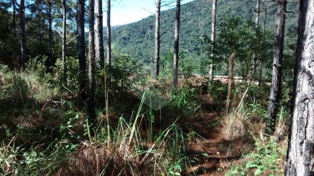 Terreno à venda em Jardim Glória, Miracatu, SP