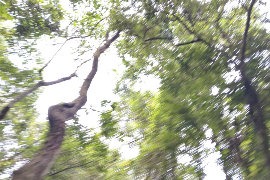 Terreno à venda no condomínio Cantareira, Mairiporã - SP