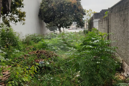 Terreno à venda em Vila Constança, São Paulo, SP