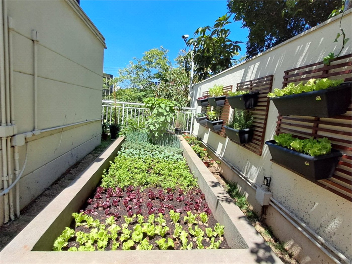 Apartamento à venda com 3 quartos, sendo 1 suíte, em Água Branca, São Paulo, SP