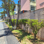 Apartamento à venda com 2 quartos em Jardim Paulicéia, Campinas, SP
