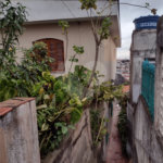 Casa à venda com 2 quartos em Vila Guilherme, São Paulo, SP