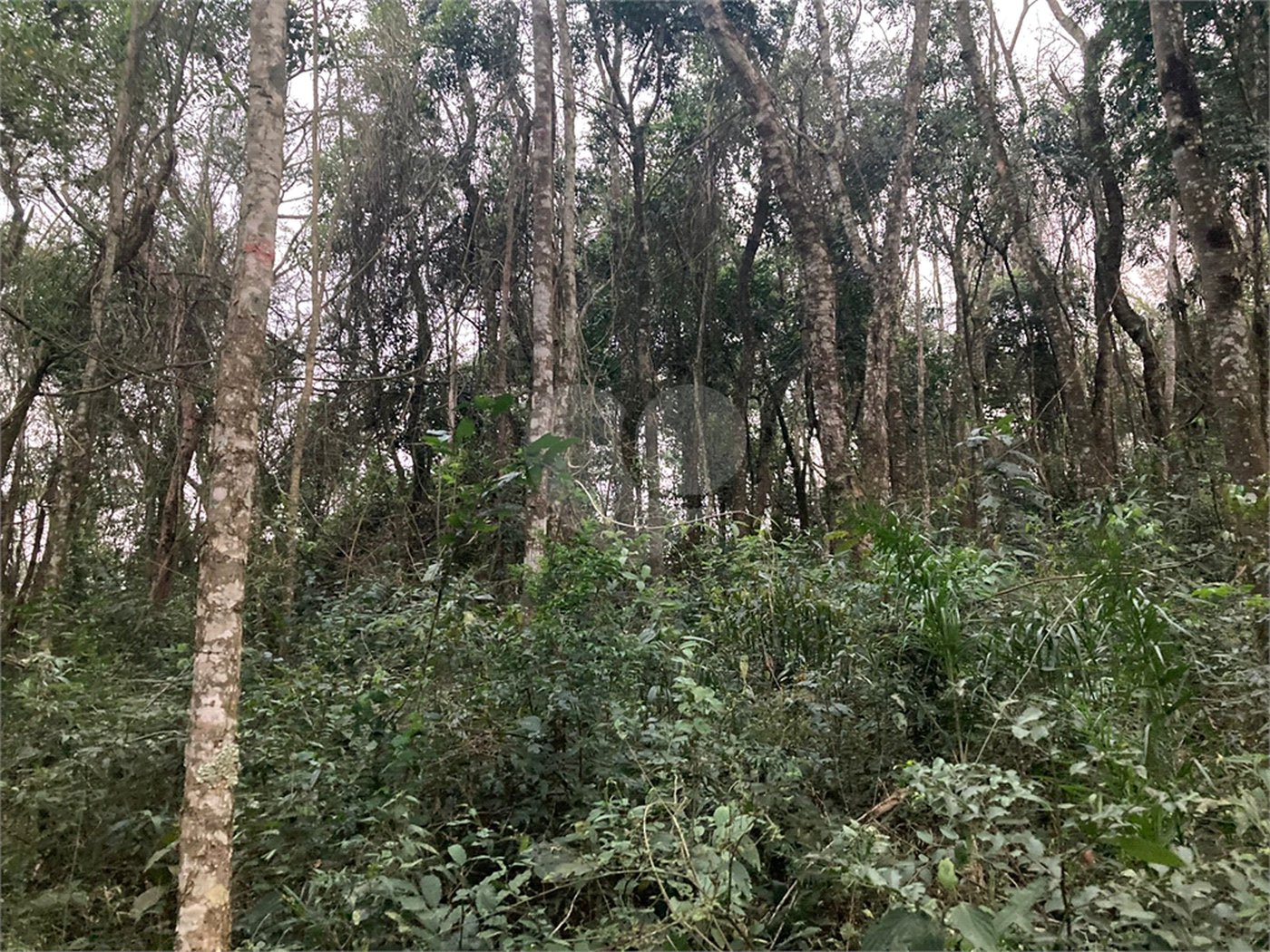 Terreno à venda no condomínio Alpes da Cantareira, Mairiporã - SP