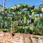 Casa à venda com 4 suítes no condomínio Parque Chapada DE Itu, Itu - SP