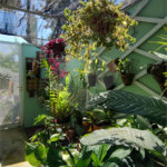 Casa à venda com 4 suítes no condomínio Parque Chapada de Itu, Itu - SP