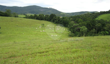 Fazenda à venda com 3 quartos em Cachoeirinha, Bom Jesus dos Perdões, SP