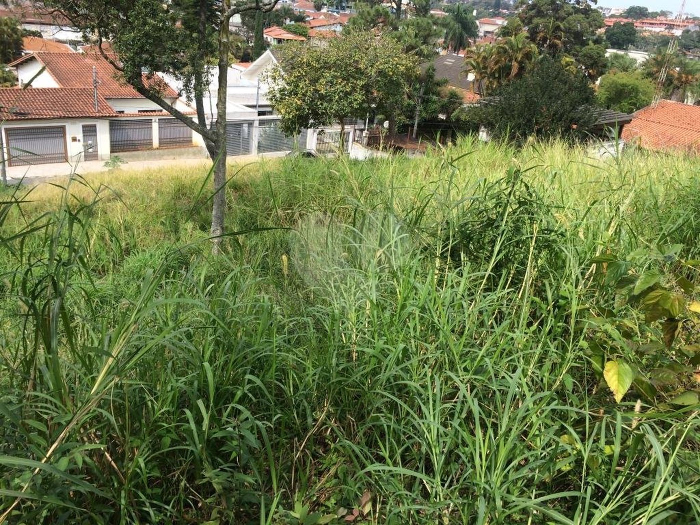 Terreno à venda em Tremembé, São Paulo, SP